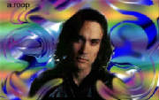 beautifulbrandonlee.jpg